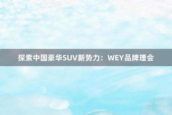 探索中国豪华SUV新势力：WEY品牌理会